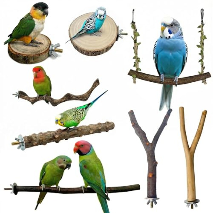 8PCS natural wood bird perches - Health & Wellness Unlimited ulasan dan harga